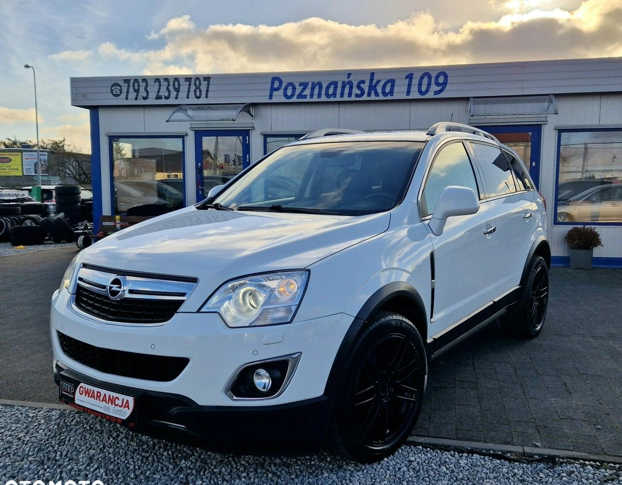 Opel Antara cena 29999 przebieg: 225000, rok produkcji 2011 z Krynica Morska małe 742